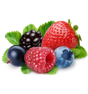 Вкус