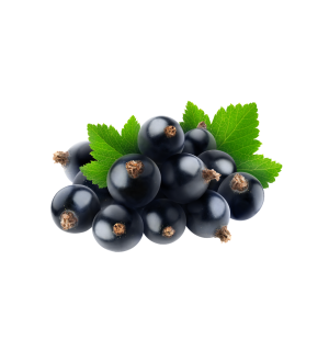Вкус