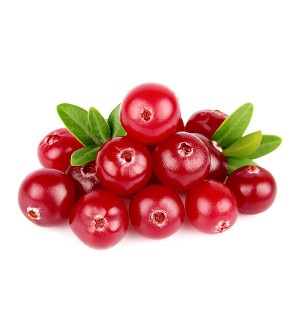 Вкус 