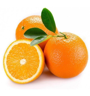 Вкус