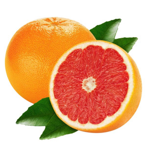 Вкус