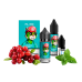 Набор для самозамеса Flavorlab Fl350 Cranberry Mint 50 мг 30 мл - фото 3