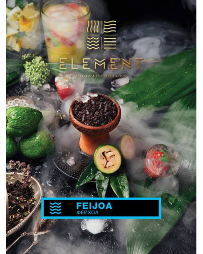Табак для кальяна Element Вода Feijoa 40 г