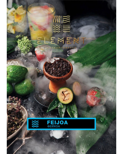Табак для кальяна Element Вода Feijoa 200 г