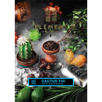 Табак для кальяна Element Вода Cactus Fig 100 г