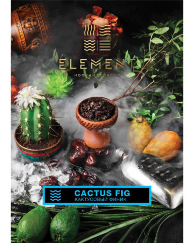 Табак для кальяна Element Вода Cactus Fig 200 г