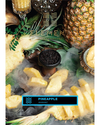 Табак для кальяна Element Вода Pineapple 40 г