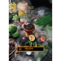 Табак для кальяна Element Земля Feijoa 100 г
