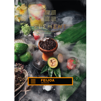 Табак для кальяна Element Земля Feijoa 40 г.