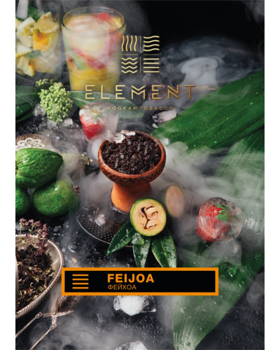 Табак для кальяна Element Земля Feijoa 40 г