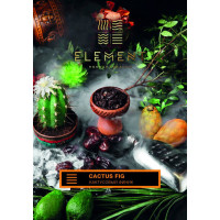Табак для кальяна Element Земля Cactus Fig 40 г