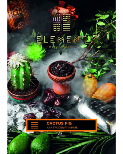 Табак для кальяна Element Земля Cactus Fig 40 г