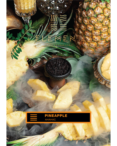 Табак для кальяна Element Земля Pineapple 100 г