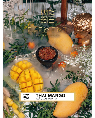 Табак для кальяна Element Воздух Thai Mango 40 г