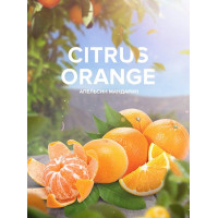 Смесь 420 Hookah Tea Citrus orange 125 г