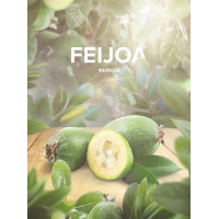 Смесь 420 Hookah Tea Feijoa 125 г
