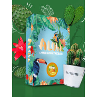 Cмесь Aloha Кактус 100 г