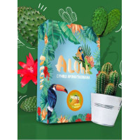 Cмесь Aloha Кактус 40 г