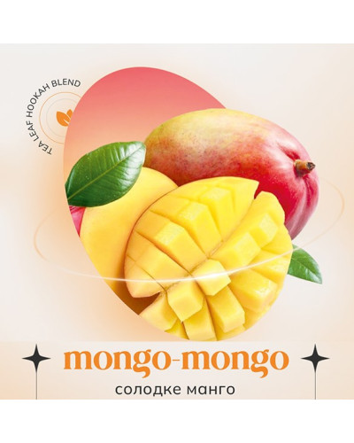 Кальянна суміш Indigo Smoke Mongo Mongo 100 г - фото 2