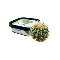 Кальянна суміш Indigo Smoke Cactus 100г