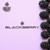 Тютюн для кальяну GREAT Blackberry 100 г - фото 2