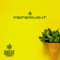 Тютюн для кальяну GREAT Peppermint 25 г