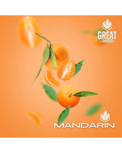 Тютюн для кальяну GREAT Mandarin 100 г - фото 2