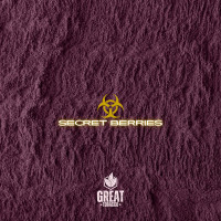 Тютюн для кальяну GREAT Secret Berries 25 г