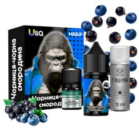 Набор Uliq Черника Черная смородина 30ml 50mg