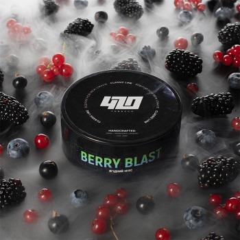 Тютюн 420 Classic Line Berry Blast (Брусника, Чорниця, Журавлина, Шовковиця) 250 г 4:20 Hookah - фото 15
