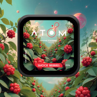 Тютюн Atom Shock Berries (Кислі лісові ягоди) 200 г