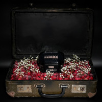 Табак Enigma Elder (Клюква) 200 г