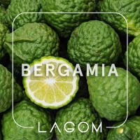 Тютюн Lagom Main Bergamia (Бергамот) 40 г