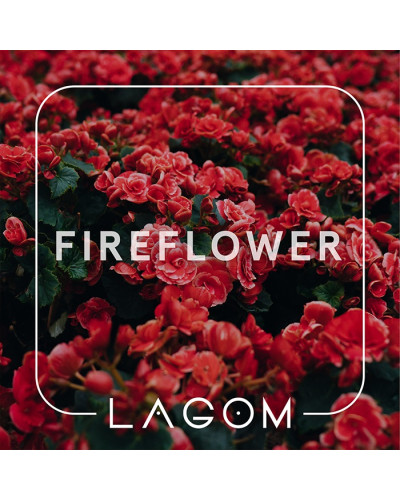 Тютюн Lagom Main Fireflower (Квітково-пряний смак) 250 г