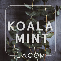 Тютюн Lagom Main Koala Mint (Жуйка орбіт з евкаліптом) 250 г
