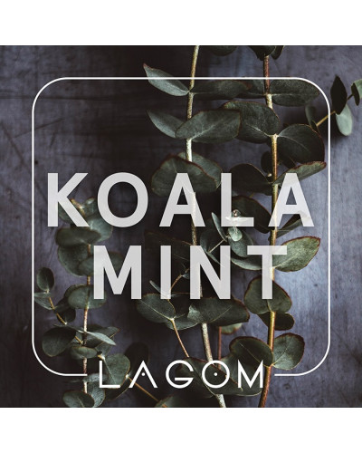Тютюн Lagom Main Koala Mint (Жуйка орбіт з евкаліптом) 40 г