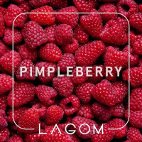 Тютюн Lagom Main Pimpleberry (Малина) 40 г