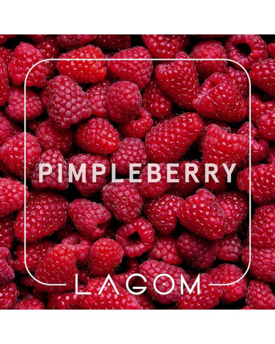 Тютюн Lagom Main Pimpleberry (Малина) 40 г