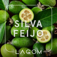 Тютюн Lagom Main Silva Feijo (Фейхоа) 40 г