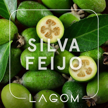 Тютюн Lagom Main Silva Feijo (Фейхоа) 40 г - фото 24