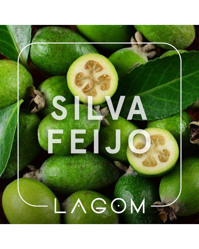 Тютюн Lagom Main Silva Feijo (Фейхоа) 40 г