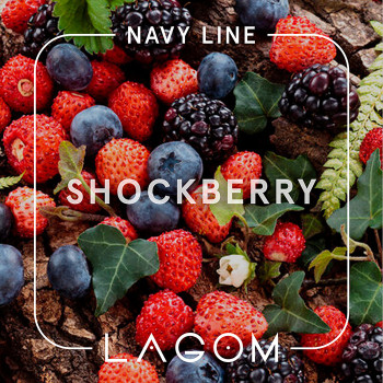 Тютюн Lagom Navy Shockberry (Кислі ягоди) 250 г - фото 3
