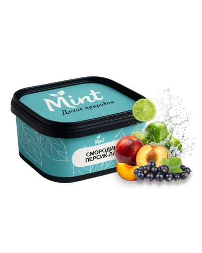 Суміш для кальяну Mint Смородина Персик Лайм 200 г