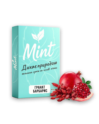 Суміш для кальяну Mint Барбарис Гранат 100 г