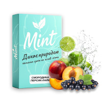 Смесь для кальяна Mint Смородина Персик Лайм 50 г