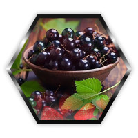 Тютюн Palladium Strong Blackcurrant (Чорна смородина) 50 г