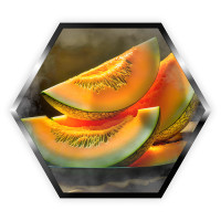 Тютюн Palladium Strong Melon (Диня) 200 г