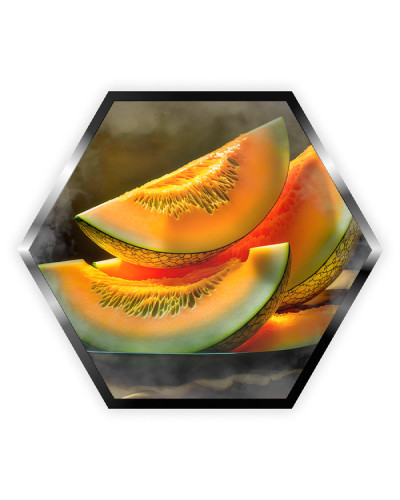 Тютюн Palladium Strong Melon (Диня) 200 г